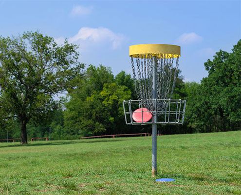 disc-golf